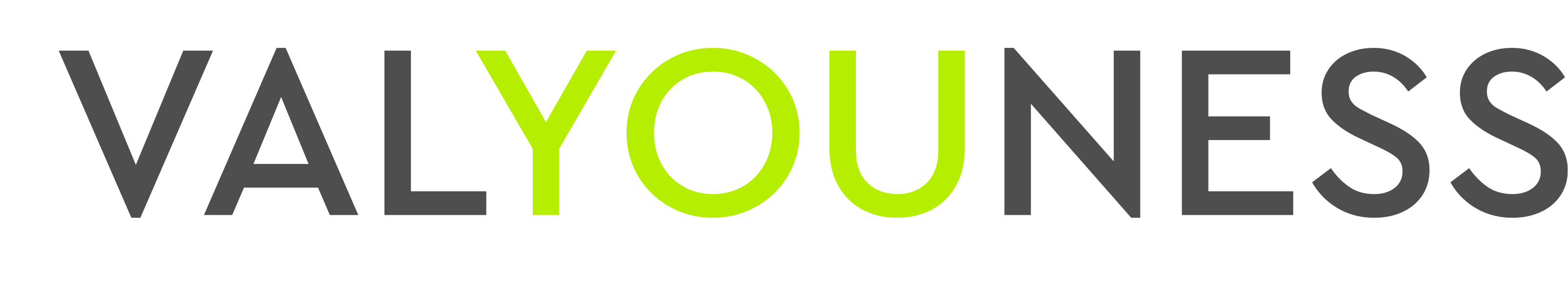 logo valyouness